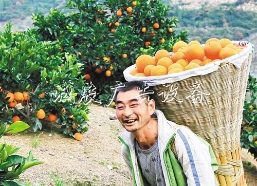 【大美中国】广告灯箱多少钱一个金秋时节庆丰收