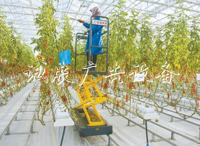 戈壁滩飘出果蔬香（田间学校宣传栏追踪高质量·突破资源约束）