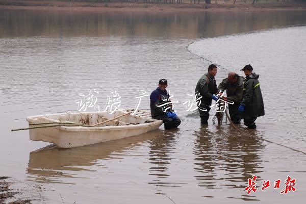 “舌尖上的武科大社区宣传栏”美食评比大赛开赛