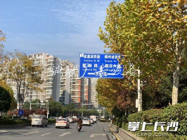 英语老师指出长沙路牌广告灯箱多少钱一个上的翻译瑕疵 交警连夜更