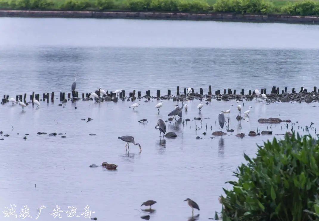 霓虹璀璨的不夜城里，太阳能垃圾桶让我们一起守护这片黑暗