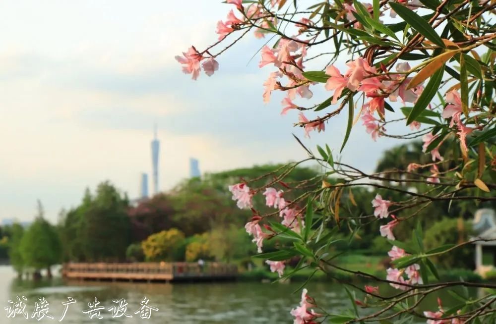 霓虹璀璨的不夜城里，太阳能垃圾桶让我们一起守护这片黑暗